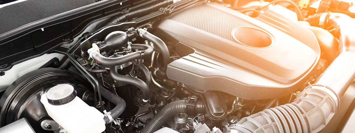 Cavalli fiscali auto