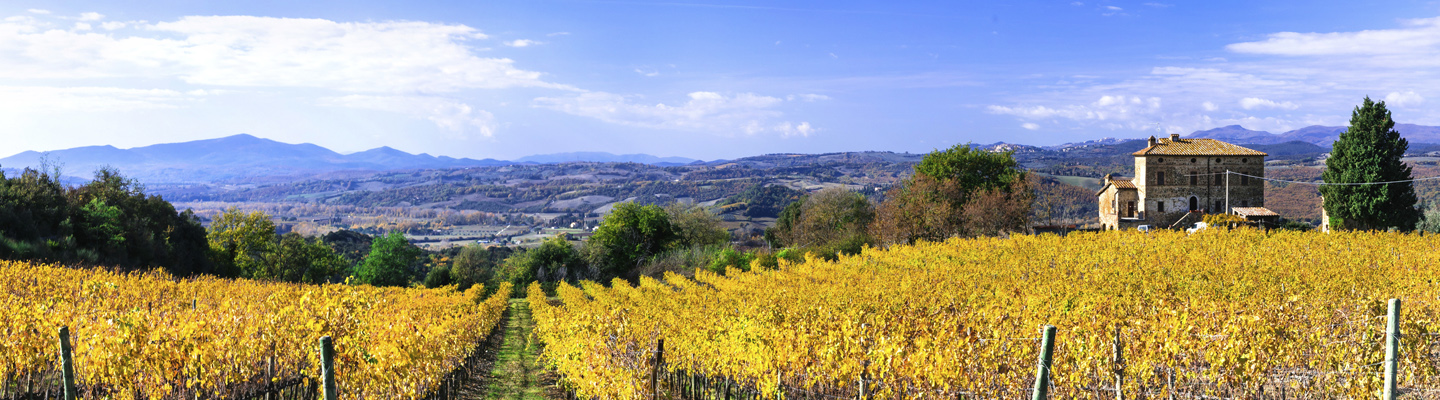 cascinale con vigneto_1