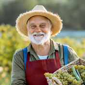 viticoltore con cesto uva