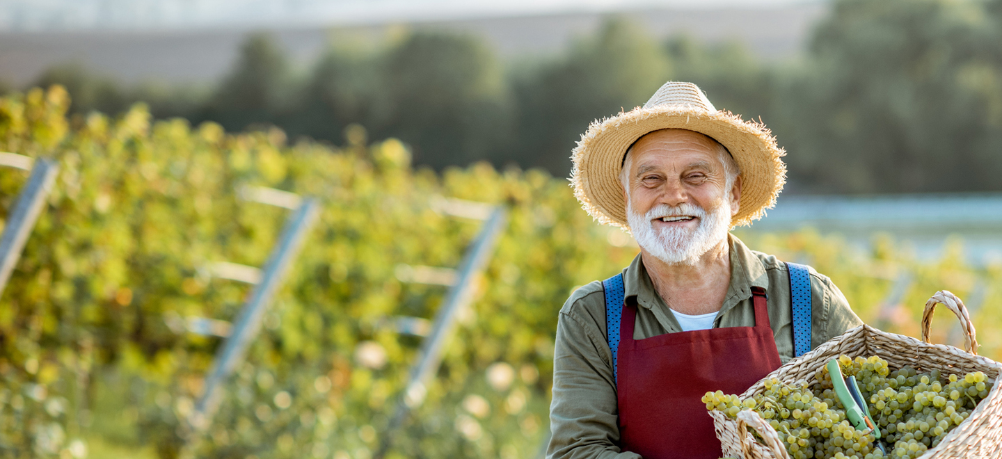 viticoltore con cesto uva 3
