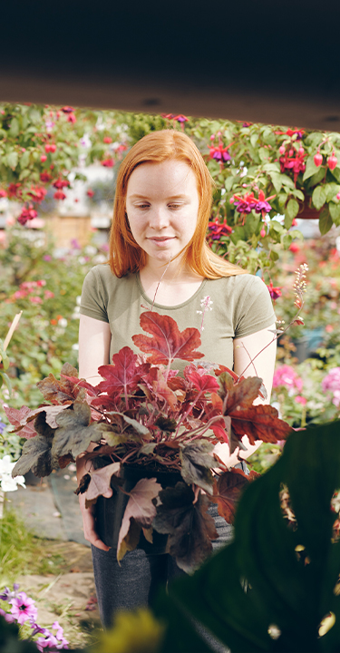 ATTIVA Veicoli commerciali