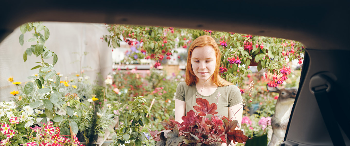 ATTIVA Veicoli commerciali