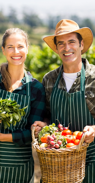 Agricoltori con cesto di mele_1